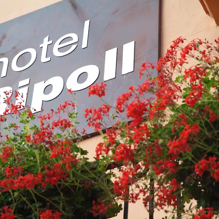 Hotel Ripoll