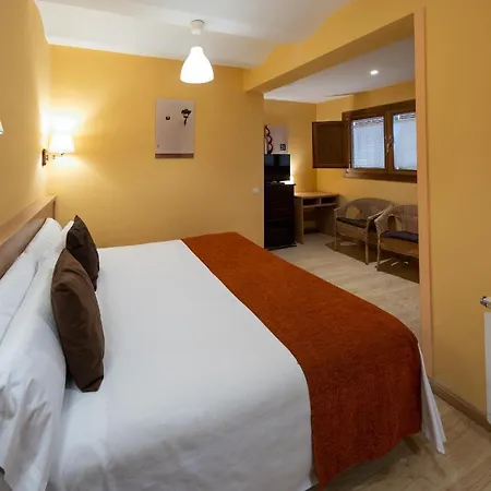 Hotel Ripoll 3*