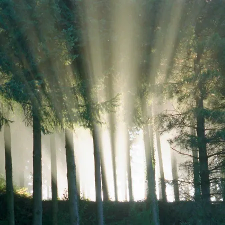 Ripoll 3* سانت إلاري ساكالم